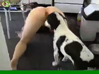 Cam whore loving a dog oral sex